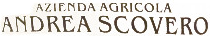 Andrea Scovero