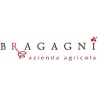 Bragagni