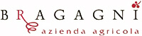 Bragagni